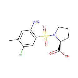 Cc1cc(N)c(S(=O)(=O)N2CCC[C@H]2C(=O)O)cc1Cl ZINC000013687264