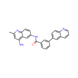 Cc1cc(N)c2cc(NC(=O)c3cccc(-c4ccc5ncccc5c4)c3)ccc2n1 ZINC000103236389