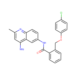 Cc1cc(N)c2cc(NC(=O)c3ccccc3COc3ccc(Cl)cc3)ccc2n1 ZINC000013835527