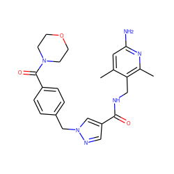 Cc1cc(N)nc(C)c1CNC(=O)c1cnn(Cc2ccc(C(=O)N3CCOCC3)cc2)c1 ZINC000114079267