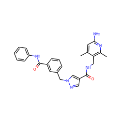 Cc1cc(N)nc(C)c1CNC(=O)c1cnn(Cc2cccc(C(=O)Nc3ccccc3)c2)c1 ZINC000114078622