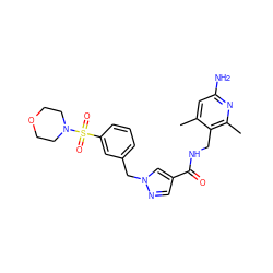 Cc1cc(N)nc(C)c1CNC(=O)c1cnn(Cc2cccc(S(=O)(=O)N3CCOCC3)c2)c1 ZINC000114079257