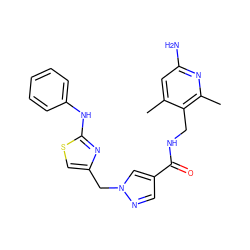 Cc1cc(N)nc(C)c1CNC(=O)c1cnn(Cc2csc(Nc3ccccc3)n2)c1 ZINC000114078222