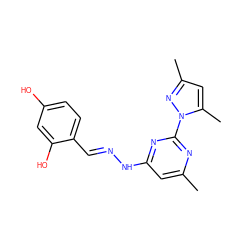 Cc1cc(N/N=C/c2ccc(O)cc2O)nc(-n2nc(C)cc2C)n1 ZINC000004550634