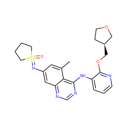 Cc1cc(N=S2(=O)CCCC2)cc2ncnc(Nc3cccnc3OC[C@H]3CCOC3)c12 ZINC001772652913