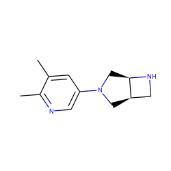 Cc1cc(N2C[C@@H]3CN[C@@H]3C2)cnc1C ZINC000028866030