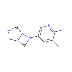 Cc1cc(N2C[C@@H]3CNC[C@@H]32)cnc1C ZINC000028865878