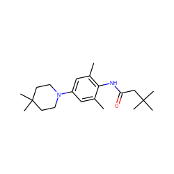 Cc1cc(N2CCC(C)(C)CC2)cc(C)c1NC(=O)CC(C)(C)C ZINC000207446445