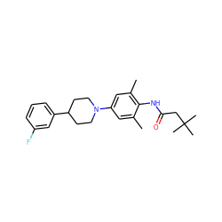 Cc1cc(N2CCC(c3cccc(F)c3)CC2)cc(C)c1NC(=O)CC(C)(C)C ZINC000207579006