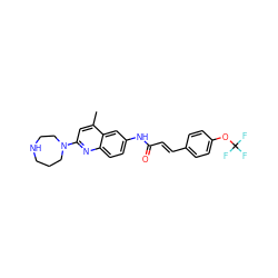 Cc1cc(N2CCCNCC2)nc2ccc(NC(=O)/C=C/c3ccc(OC(F)(F)F)cc3)cc12 ZINC000013671961