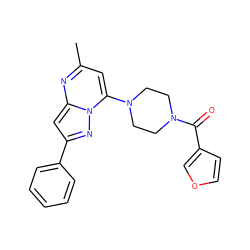 Cc1cc(N2CCN(C(=O)c3ccoc3)CC2)n2nc(-c3ccccc3)cc2n1 ZINC000061944536