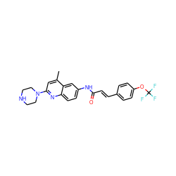 Cc1cc(N2CCNCC2)nc2ccc(NC(=O)/C=C/c3ccc(OC(F)(F)F)cc3)cc12 ZINC000013671959