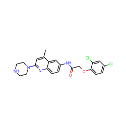 Cc1cc(N2CCNCC2)nc2ccc(NC(=O)COc3ccc(Cl)cc3Cl)cc12 ZINC000013671957