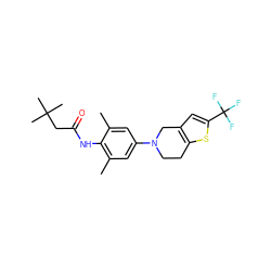 Cc1cc(N2CCc3sc(C(F)(F)F)cc3C2)cc(C)c1NC(=O)CC(C)(C)C ZINC000207538938