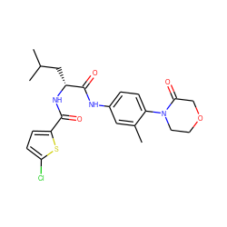 Cc1cc(NC(=O)[C@@H](CC(C)C)NC(=O)c2ccc(Cl)s2)ccc1N1CCOCC1=O ZINC000003950526