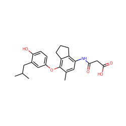 Cc1cc(NC(=O)CC(=O)O)c2c(c1Oc1ccc(O)c(CC(C)C)c1)CCC2 ZINC000095596079