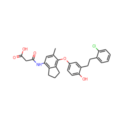 Cc1cc(NC(=O)CC(=O)O)c2c(c1Oc1ccc(O)c(CCc3ccccc3Cl)c1)CCC2 ZINC000095594656