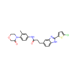 Cc1cc(NC(=O)CCc2ccc3[nH]c(-c4ccc(Cl)s4)nc3c2)ccc1N1CCOCC1=O ZINC000027211637