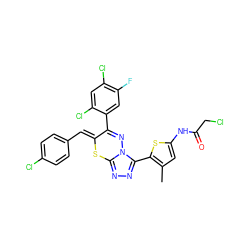 Cc1cc(NC(=O)CCl)sc1-c1nnc2n1N=C(c1cc(F)c(Cl)cc1Cl)/C(=C/c1ccc(Cl)cc1)S2 ZINC000028823785