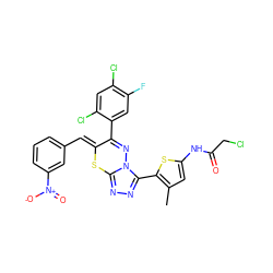 Cc1cc(NC(=O)CCl)sc1-c1nnc2n1N=C(c1cc(F)c(Cl)cc1Cl)/C(=C/c1cccc([N+](=O)[O-])c1)S2 ZINC000028823787