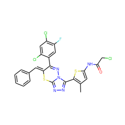 Cc1cc(NC(=O)CCl)sc1-c1nnc2n1N=C(c1cc(F)c(Cl)cc1Cl)/C(=C/c1ccccc1)S2 ZINC000028823777