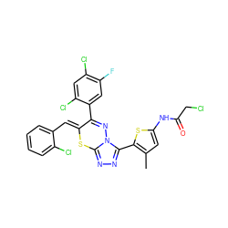 Cc1cc(NC(=O)CCl)sc1-c1nnc2n1N=C(c1cc(F)c(Cl)cc1Cl)/C(=C/c1ccccc1Cl)S2 ZINC000028823779