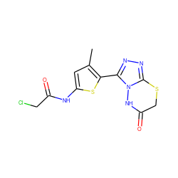 Cc1cc(NC(=O)CCl)sc1-c1nnc2n1NC(=O)CS2 ZINC000028826927