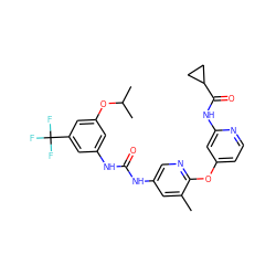 Cc1cc(NC(=O)Nc2cc(OC(C)C)cc(C(F)(F)F)c2)cnc1Oc1ccnc(NC(=O)C2CC2)c1 ZINC001772576433