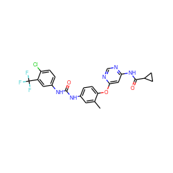 Cc1cc(NC(=O)Nc2ccc(Cl)c(C(F)(F)F)c2)ccc1Oc1cc(NC(=O)C2CC2)ncn1 ZINC000206649923