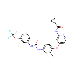 Cc1cc(NC(=O)Nc2cccc(OC(F)(F)F)c2)ccc1Oc1ccnc(NC(=O)C2CC2)c1 ZINC001772632897