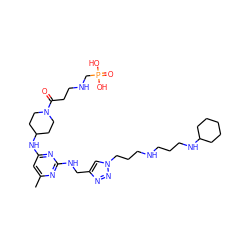 Cc1cc(NC2CCN(C(=O)CCNCP(=O)(O)O)CC2)nc(NCc2cn(CCCNCCCNC3CCCCC3)nn2)n1 ZINC001772627776