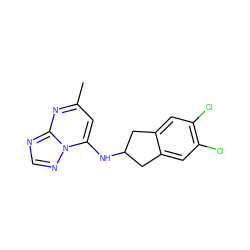 Cc1cc(NC2Cc3cc(Cl)c(Cl)cc3C2)n2ncnc2n1 ZINC000199133343