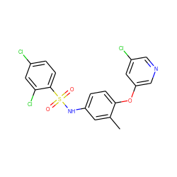 Cc1cc(NS(=O)(=O)c2ccc(Cl)cc2Cl)ccc1Oc1cncc(Cl)c1 ZINC000095588516