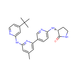 Cc1cc(Nc2cc(C(C)(C)C)ccn2)nc(-c2ccc(N[C@@H]3CCNC3=O)nc2)c1 ZINC001772650120