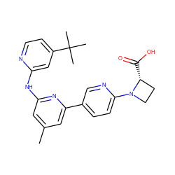 Cc1cc(Nc2cc(C(C)(C)C)ccn2)nc(-c2ccc(N3CC[C@H]3C(=O)O)nc2)c1 ZINC001772587428