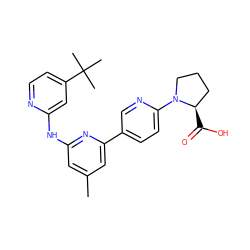 Cc1cc(Nc2cc(C(C)(C)C)ccn2)nc(-c2ccc(N3CCC[C@H]3C(=O)O)nc2)c1 ZINC001772574762