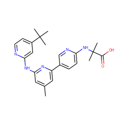 Cc1cc(Nc2cc(C(C)(C)C)ccn2)nc(-c2ccc(NC(C)(C)C(=O)O)nc2)c1 ZINC001772616933