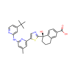 Cc1cc(Nc2cc(C(C)(C)C)ccn2)nc(-c2cnc([C@@]3(O)CCCc4cc(C(=O)O)ccc43)s2)c1 ZINC000141822165