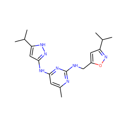 Cc1cc(Nc2cc(C(C)C)[nH]n2)nc(NCc2cc(C(C)C)no2)n1 ZINC000166675788