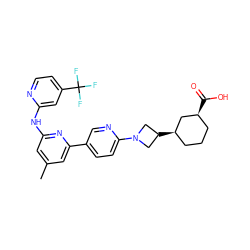 Cc1cc(Nc2cc(C(F)(F)F)ccn2)nc(-c2ccc(N3CC([C@@H]4CCC[C@H](C(=O)O)C4)C3)nc2)c1 ZINC001772649530