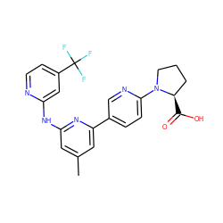 Cc1cc(Nc2cc(C(F)(F)F)ccn2)nc(-c2ccc(N3CCC[C@H]3C(=O)O)nc2)c1 ZINC001772616812