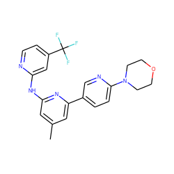 Cc1cc(Nc2cc(C(F)(F)F)ccn2)nc(-c2ccc(N3CCOCC3)nc2)c1 ZINC001772635299