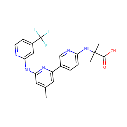 Cc1cc(Nc2cc(C(F)(F)F)ccn2)nc(-c2ccc(NC(C)(C)C(=O)O)nc2)c1 ZINC001772599070