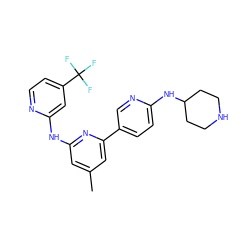 Cc1cc(Nc2cc(C(F)(F)F)ccn2)nc(-c2ccc(NC3CCNCC3)nc2)c1 ZINC000218647381