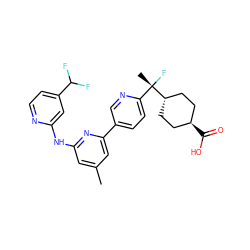 Cc1cc(Nc2cc(C(F)F)ccn2)nc(-c2ccc([C@](C)(F)[C@H]3CC[C@H](C(=O)O)CC3)nc2)c1 ZINC001772647041