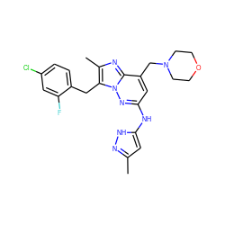 Cc1cc(Nc2cc(CN3CCOCC3)c3nc(C)c(Cc4ccc(Cl)cc4F)n3n2)[nH]n1 ZINC000068245097