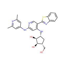 Cc1cc(Nc2cc(N[C@@H]3C[C@H](CO)[C@@H](O)[C@H]3O)c(-c3nc4ccccc4s3)cn2)cc(C)n1 ZINC000207442974