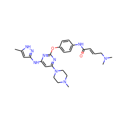 Cc1cc(Nc2cc(N3CCN(C)CC3)nc(Oc3ccc(NC(=O)/C=C/CN(C)C)cc3)n2)n[nH]1 ZINC000205282845