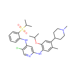 Cc1cc(Nc2cc(Nc3ccccc3S(=O)(=O)C(C)C)c(Cl)cn2)c(OC(C)C)cc1C1CCN(C)CC1 ZINC000096272786