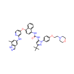 Cc1cc(Nc2cc(Oc3ccc(NC(=O)Nc4cc(C(C)(C)C)nn4-c4ccc(OCCN5CCOCC5)cc4)c4ccccc34)ccn2)cc2cn[nH]c12 ZINC001772580103